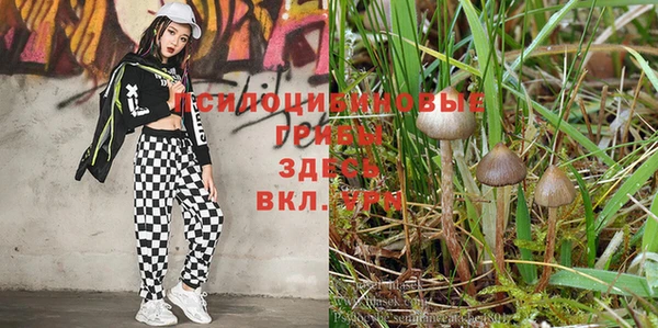 марки lsd Алексин